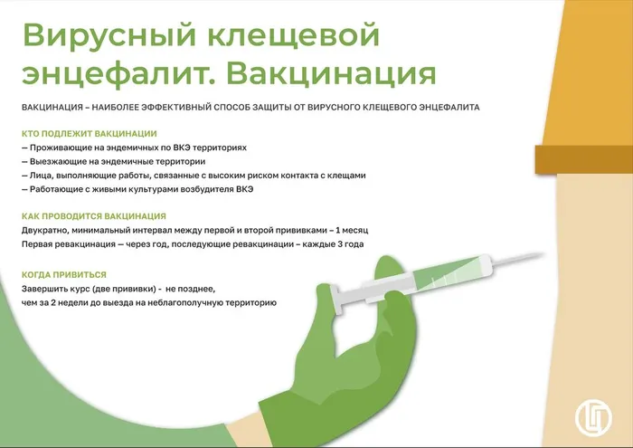 Клещевой-энцефалит